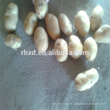 Fruta patata fresca china rojiza a buen precio
